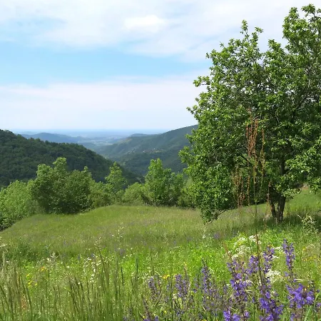 度假居 Casa Polava By Interhome Cepletischis