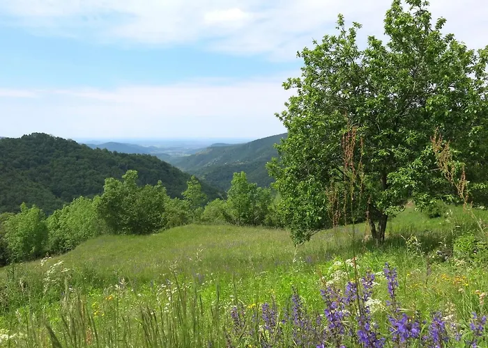 Nyaraló Casa Polava By Interhome Cepletischis